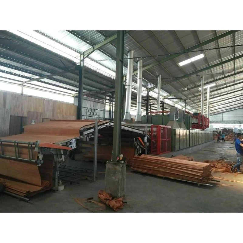 Mesh Type Veneer Dryer factory